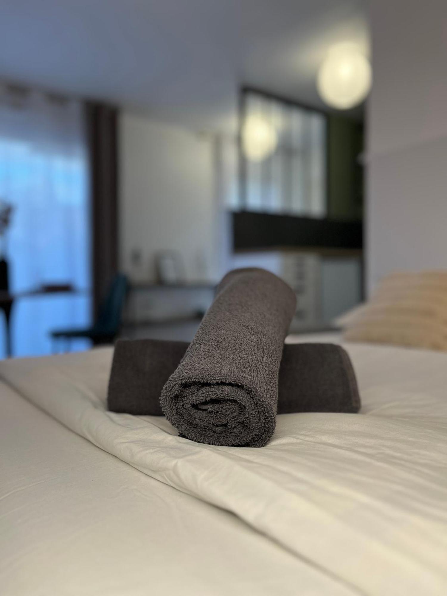 Petit Cocon Paisible Apartment Le Mans Ngoại thất bức ảnh